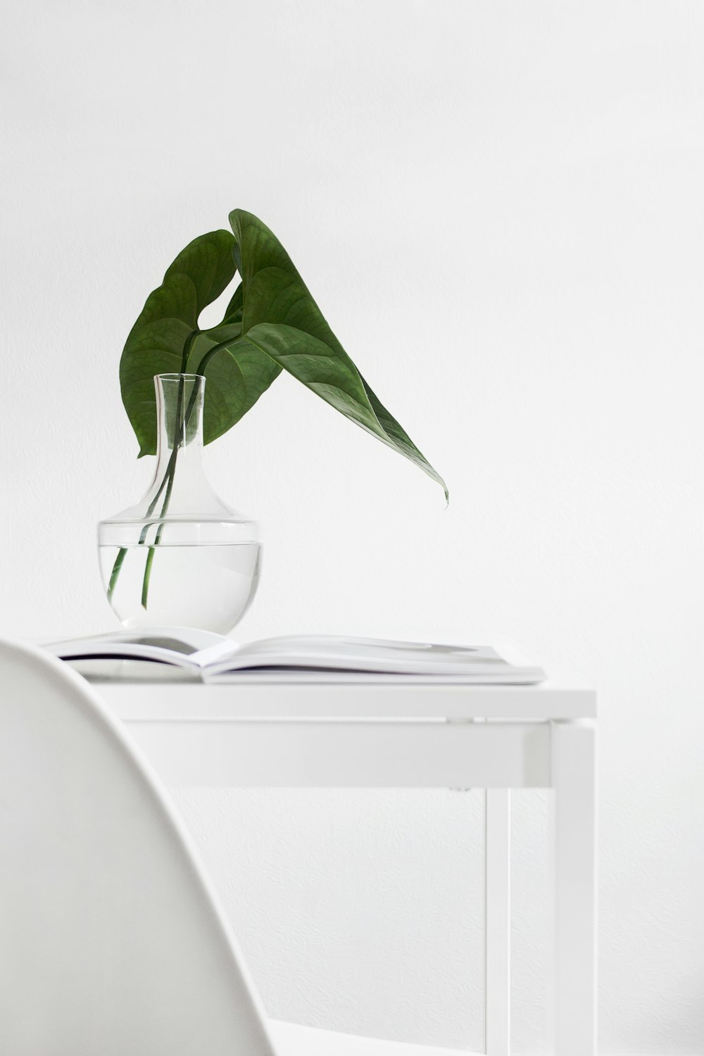 green plant on clear glass vase on white wooden table