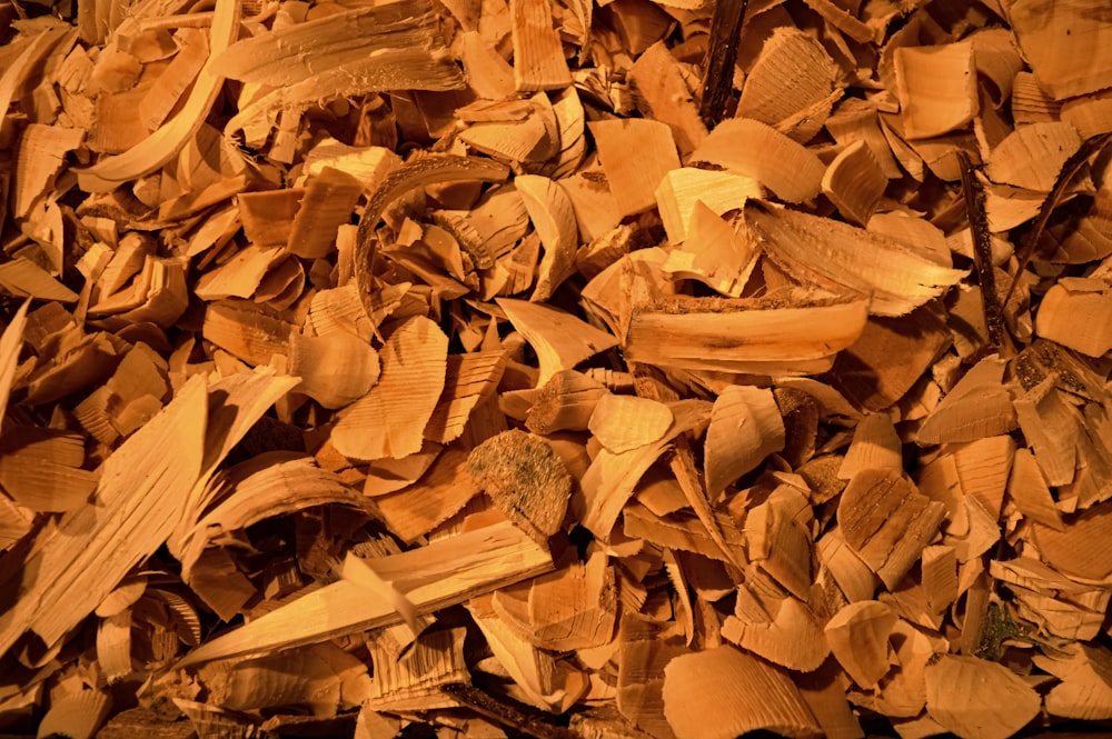 brown dried leaves on ground