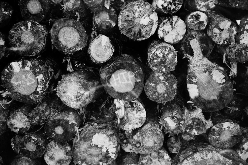 grayscale photo of wood logs