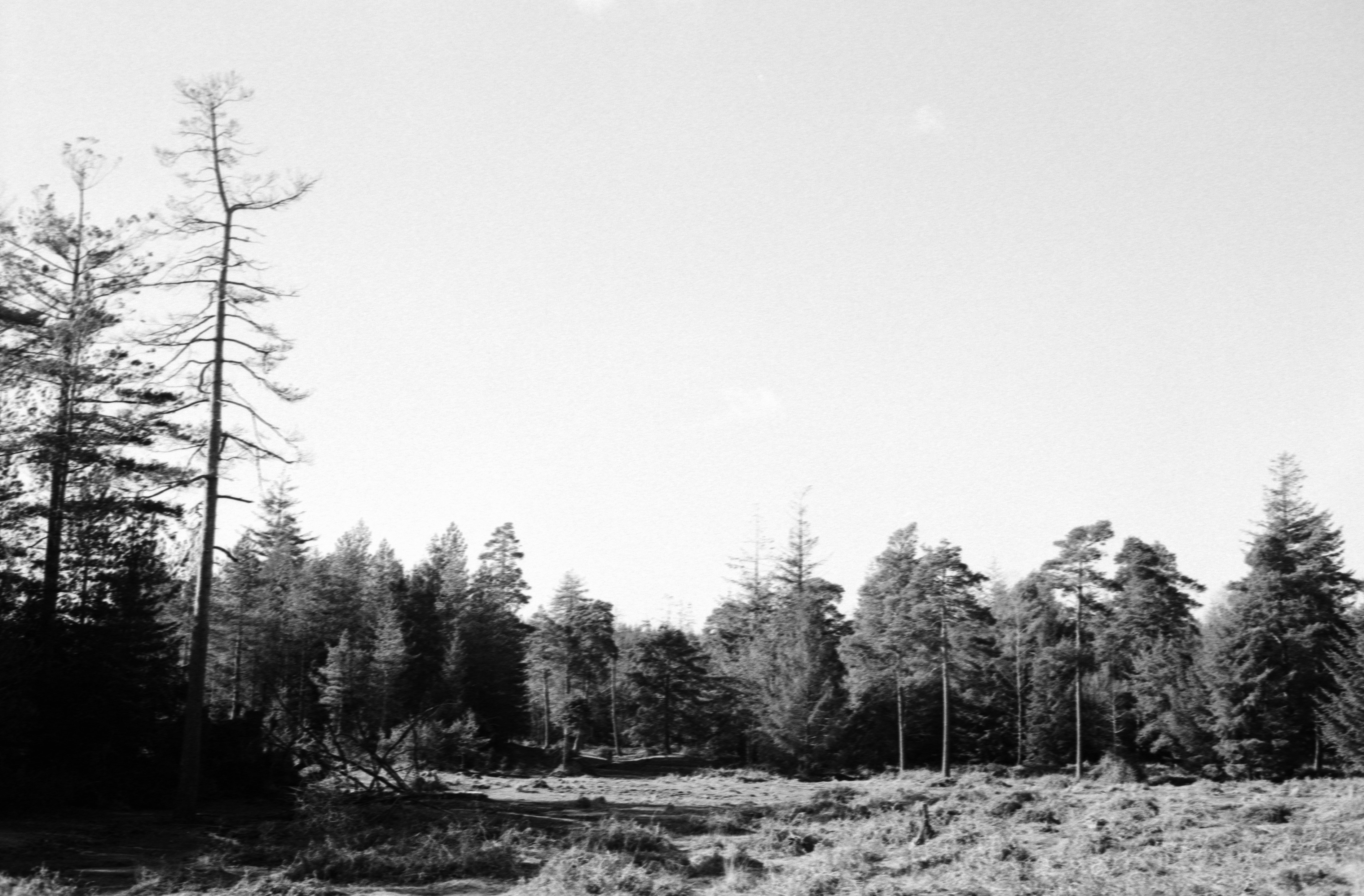 Photo by anniespratt