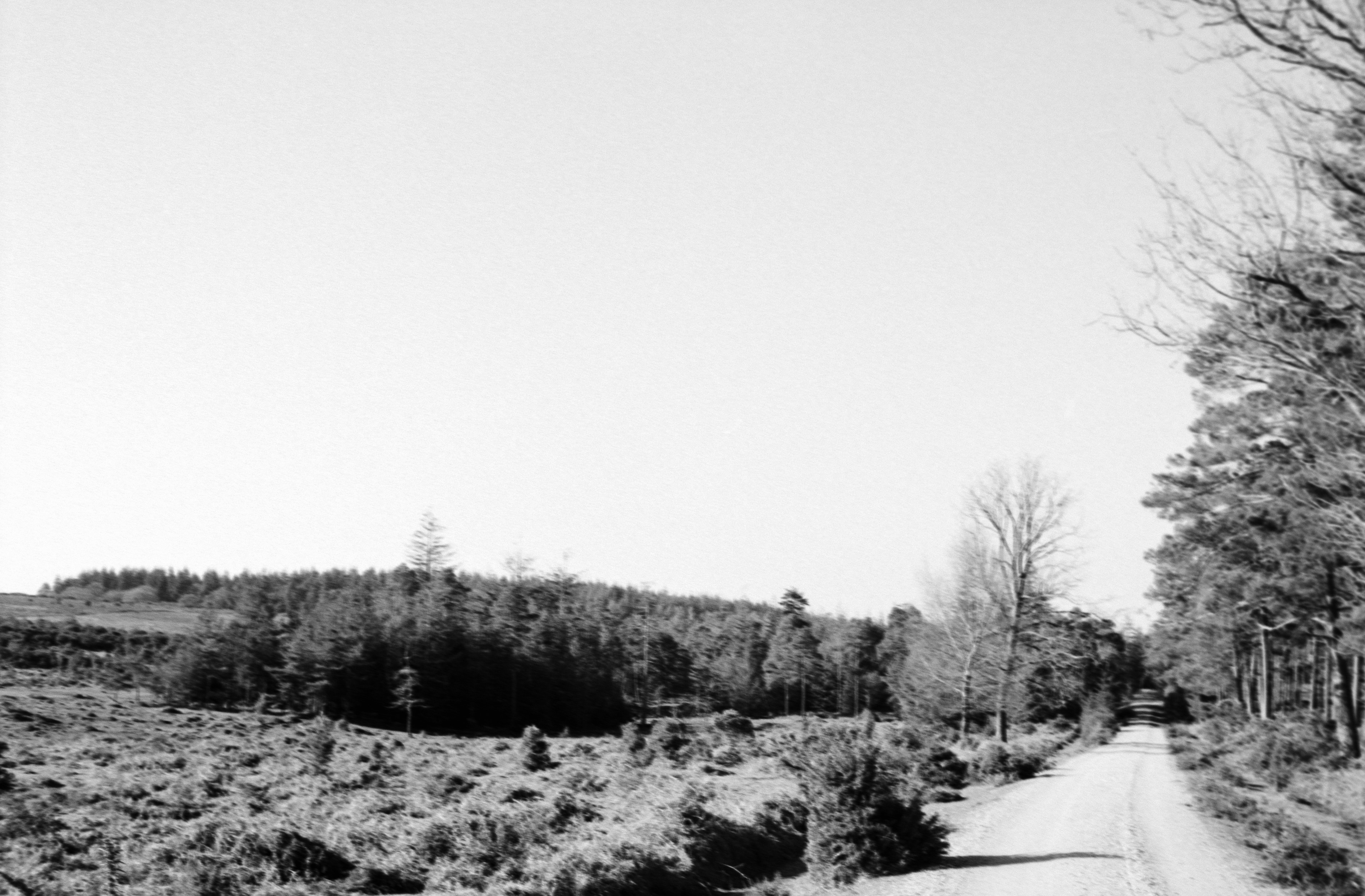 Photo by anniespratt