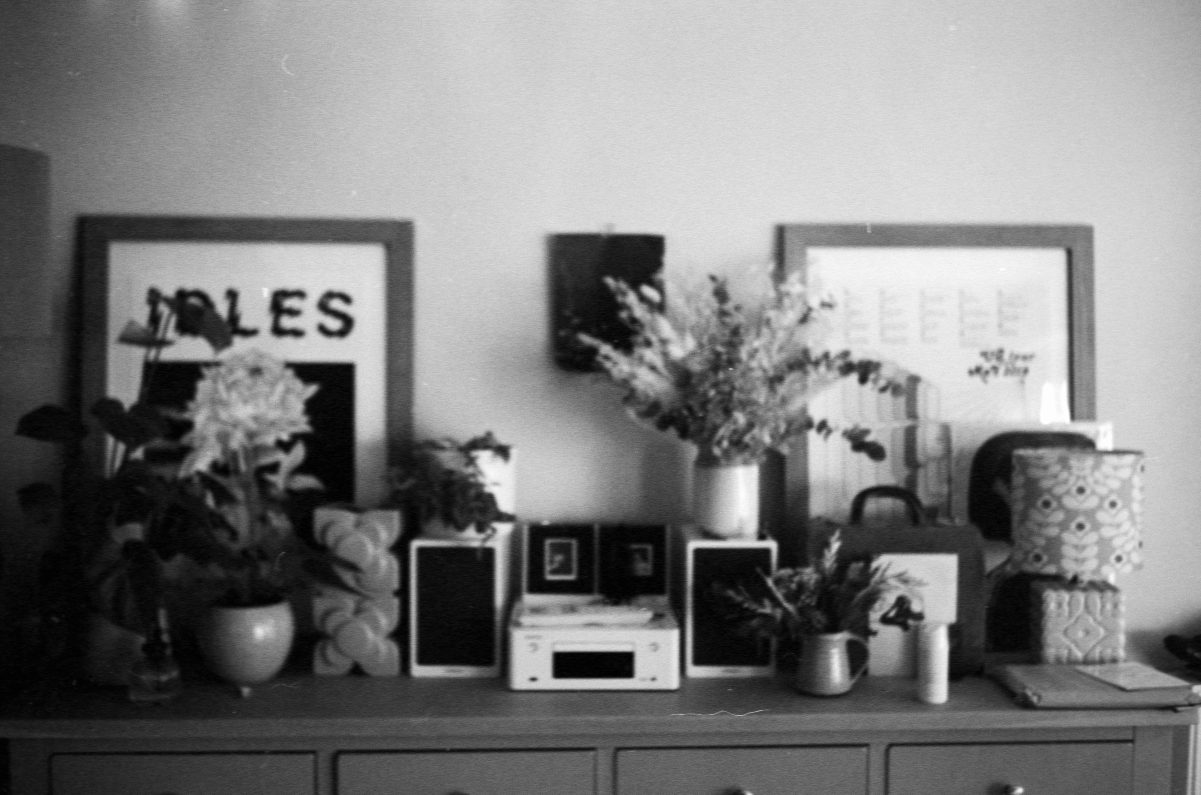 grayscale photo of flowers in vase on shelf