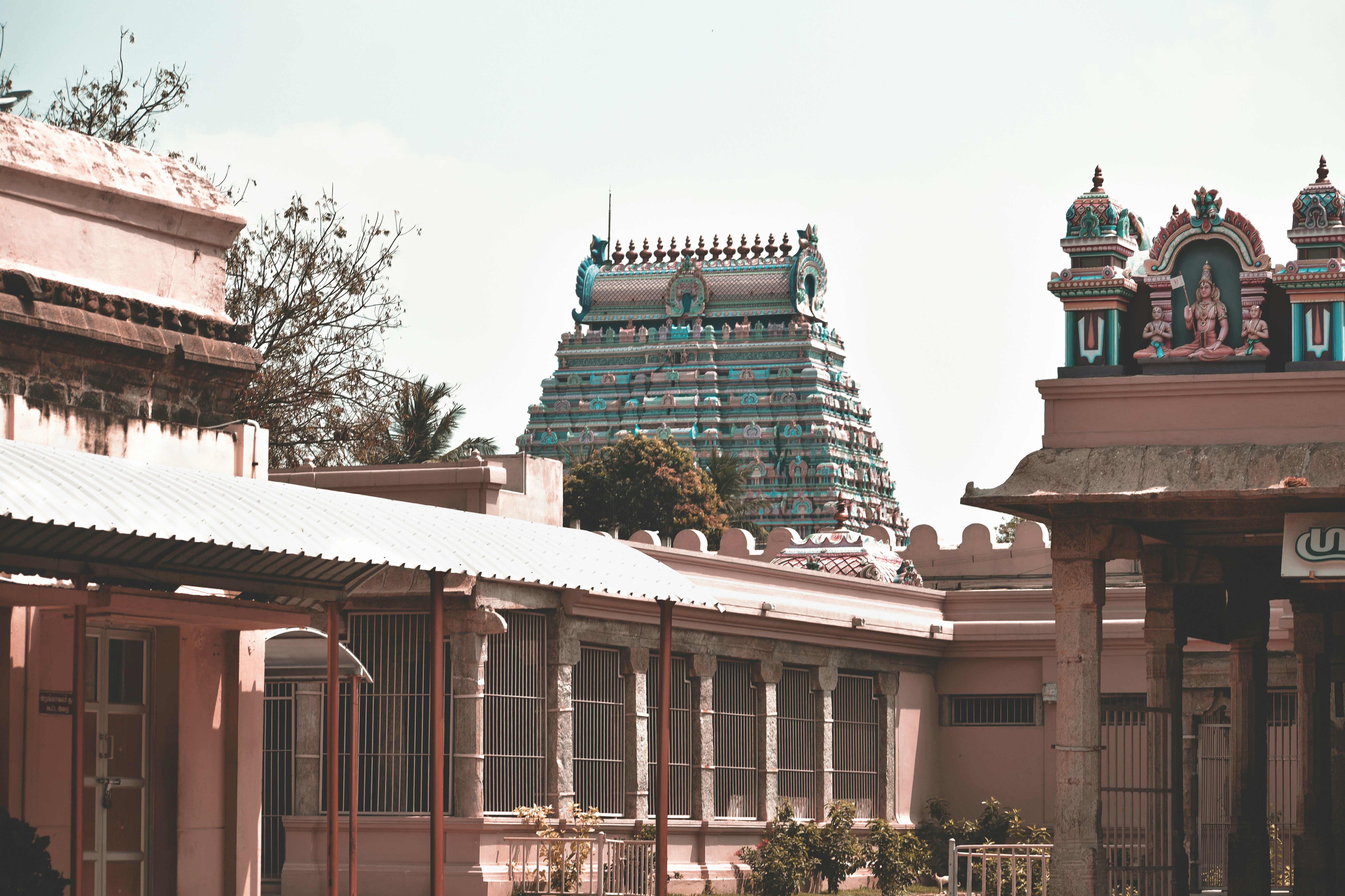 Photo by _sanjeev_ngrj_