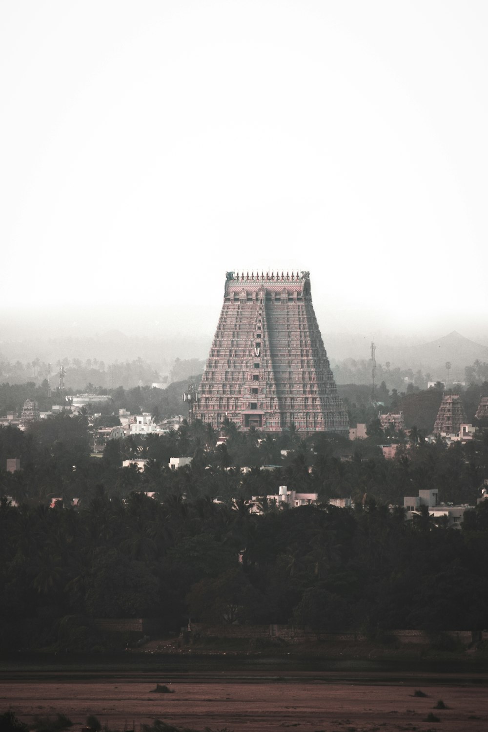 high rise building surrounded by trees