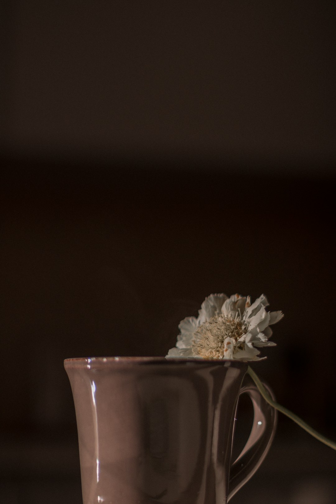 white flower on clear glass vase