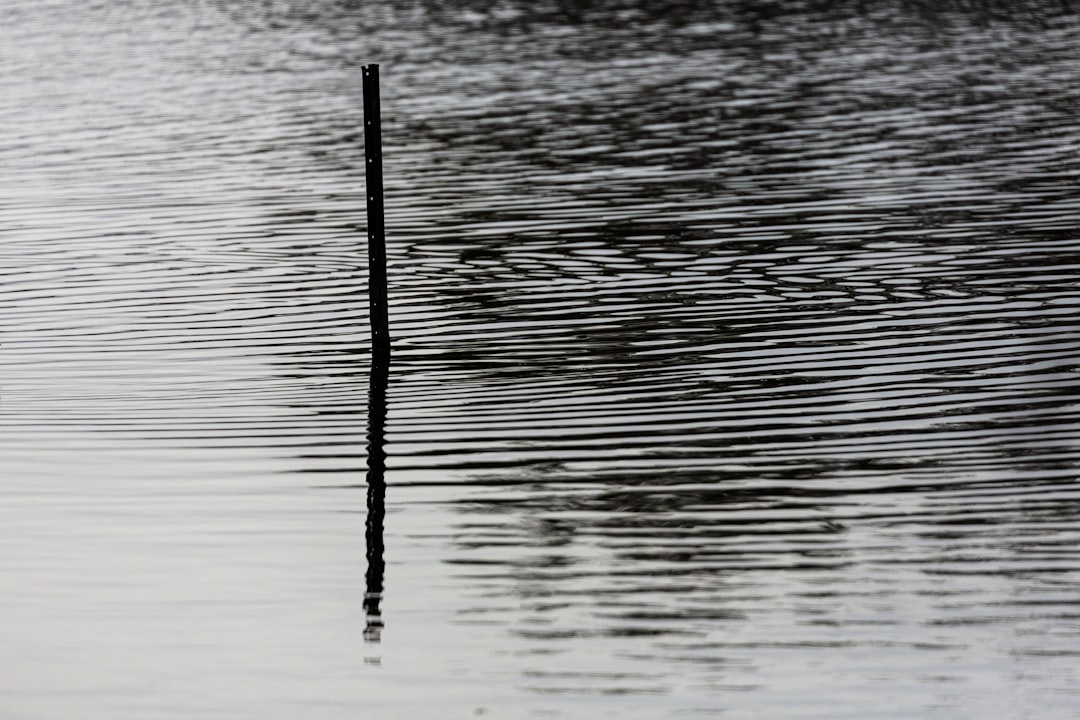 black stick on body of water during daytime