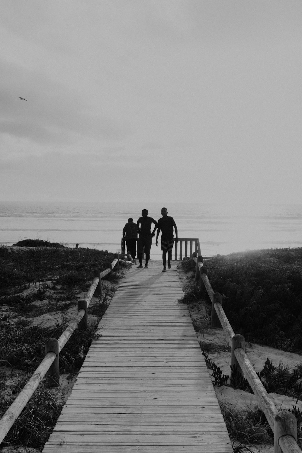 a wooden pier next to a body of water