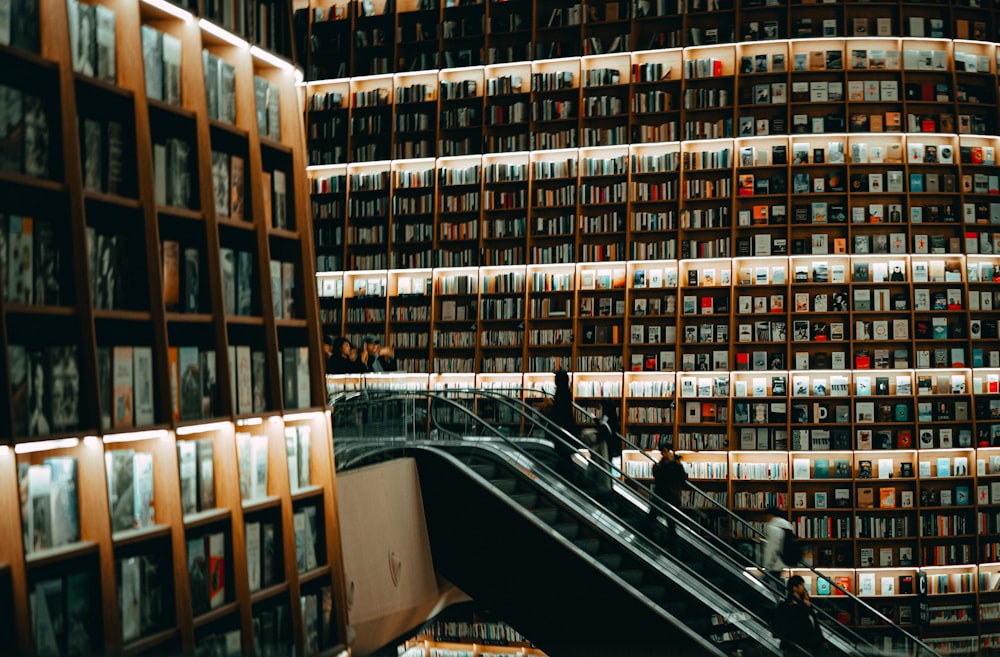 books on shelves in library