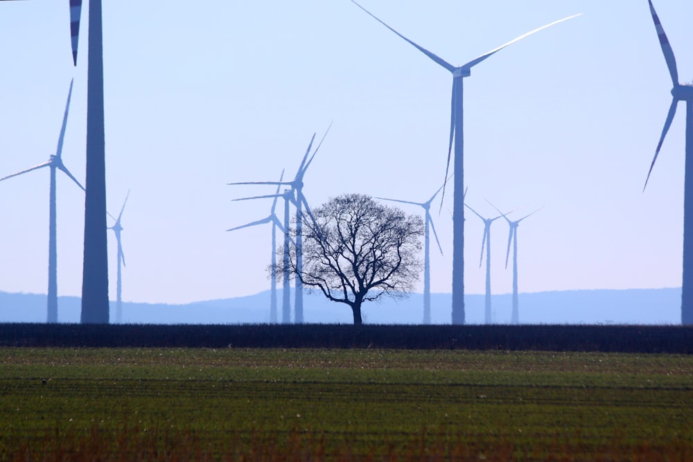 green grass field with wind turbines