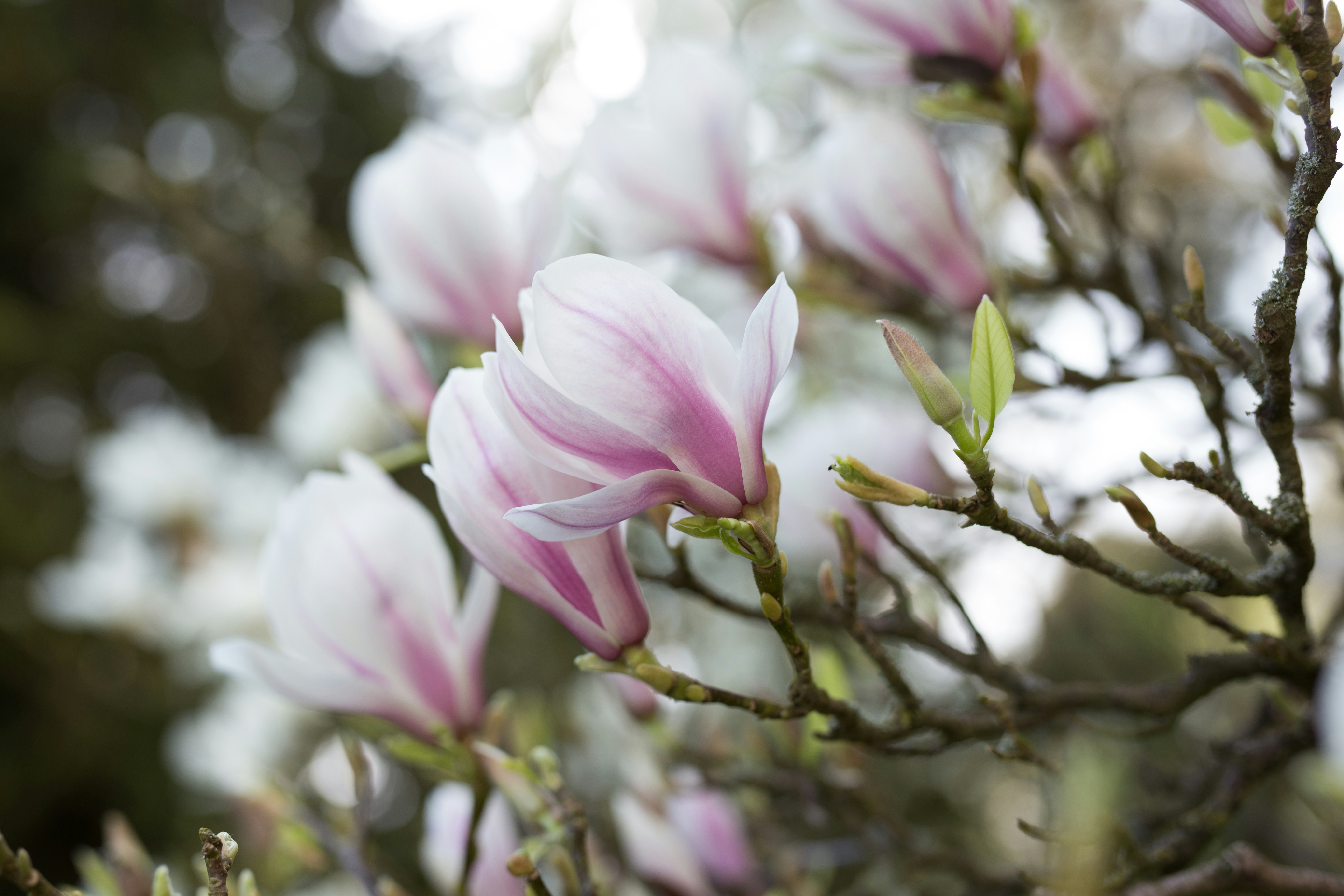 Photo by annabellalifestyle