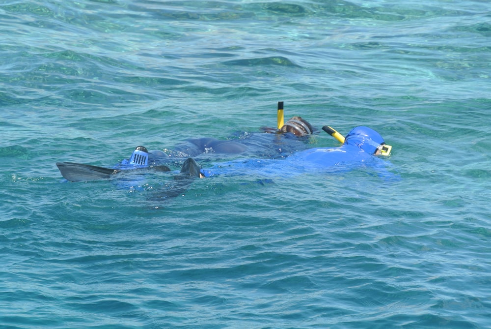 man in black swimming goggles and black goggles in water