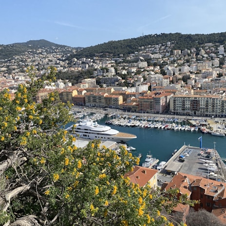 A panoramic view of a Mediterranean port bustling with activity.