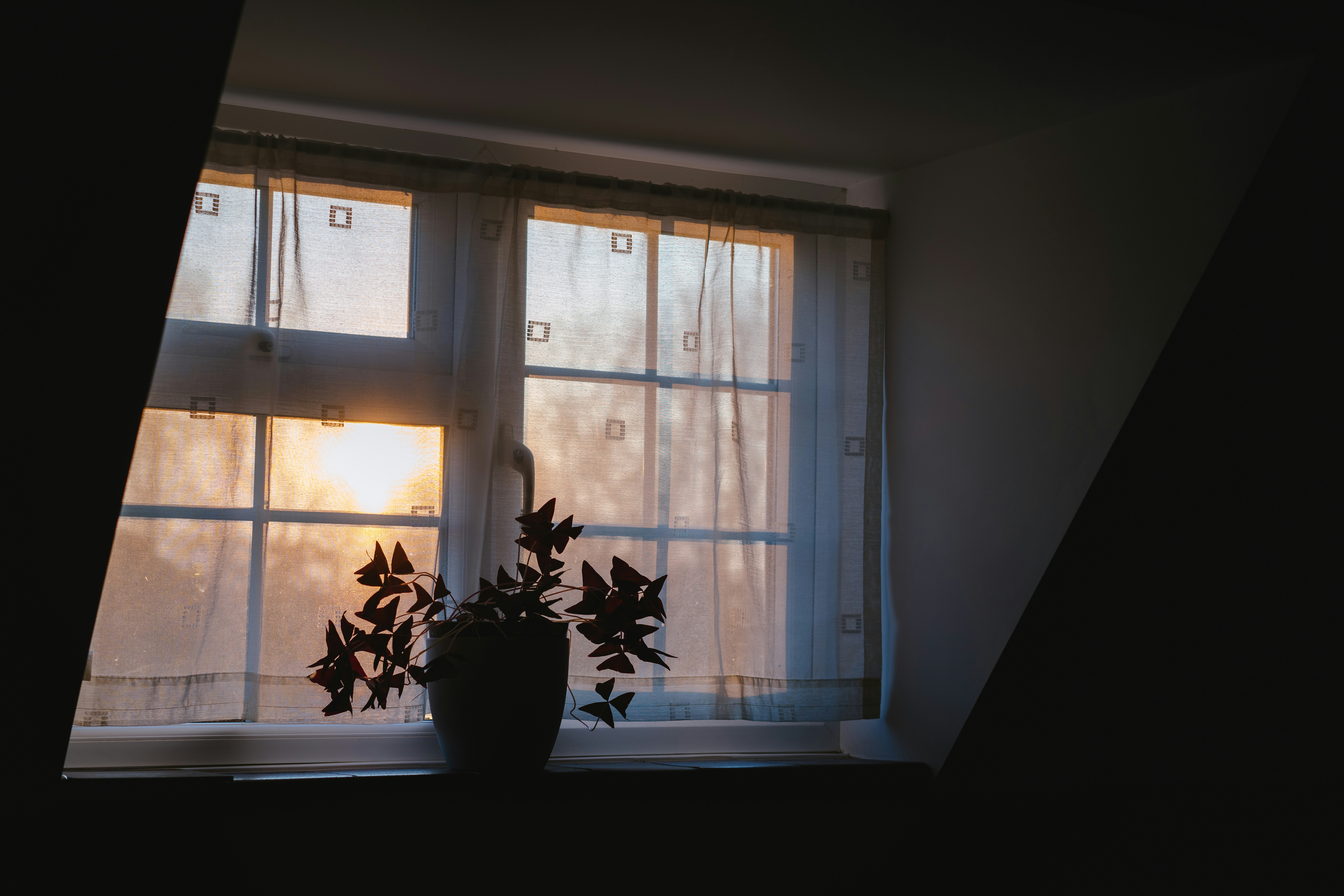 Photo by philhearing