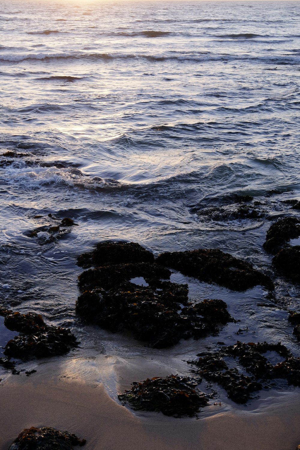 black rocks on sea water during daytime