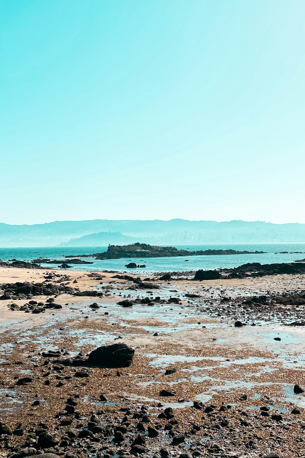 Rocas marrones y negras en la playa durante el día