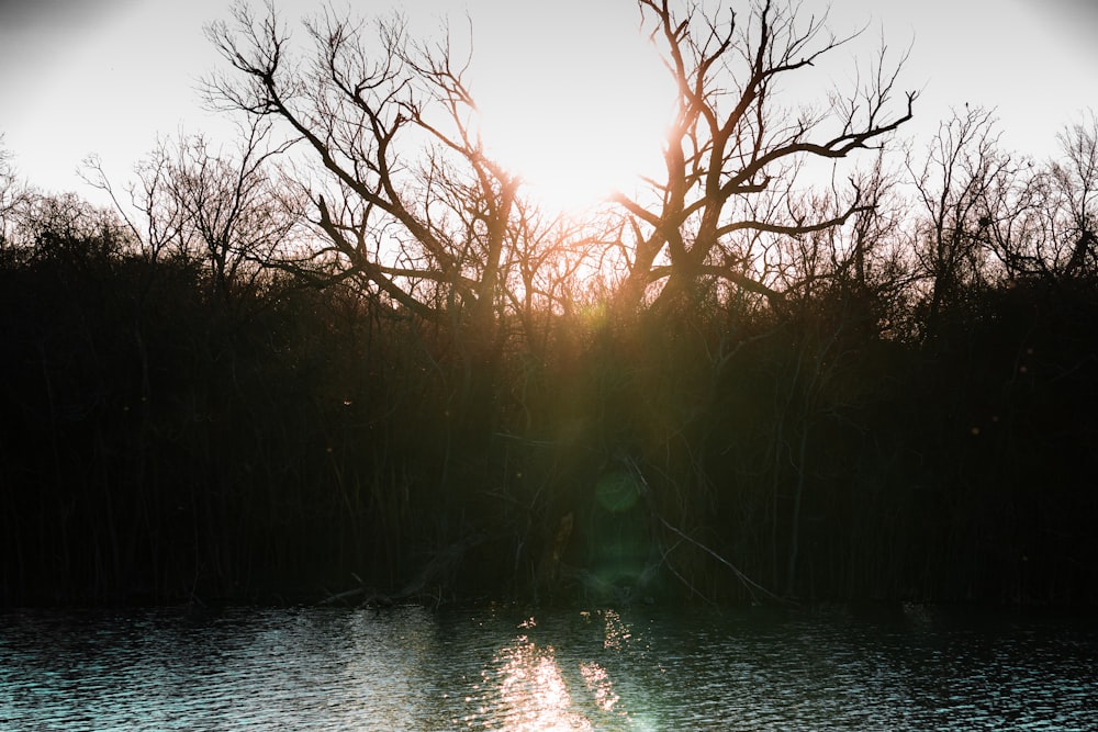 person in green jacket sitting on grass field during sunset