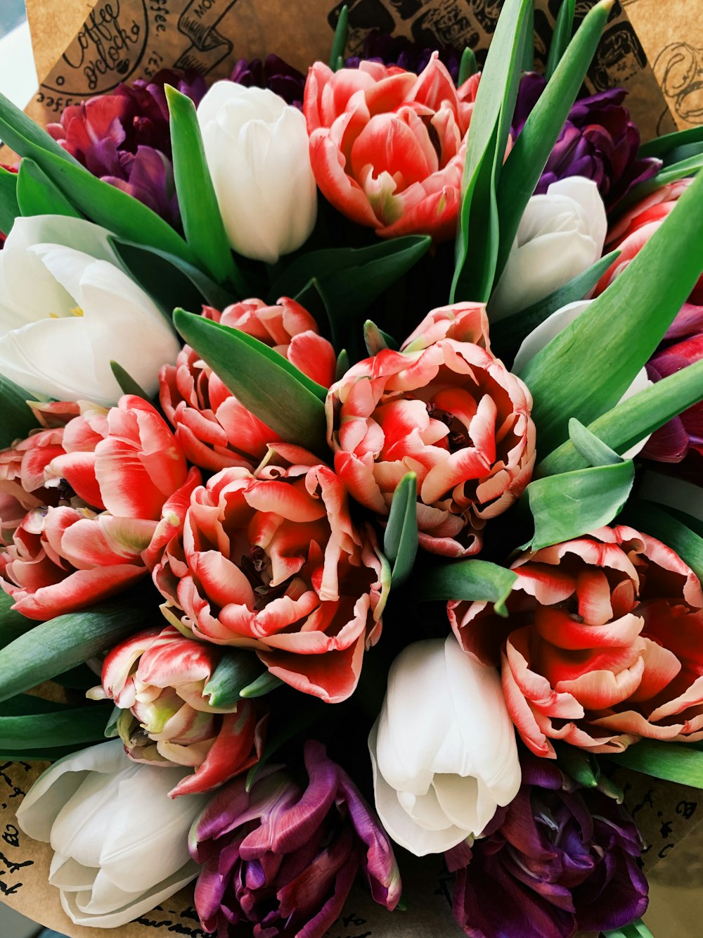 red and white tulips bouquet