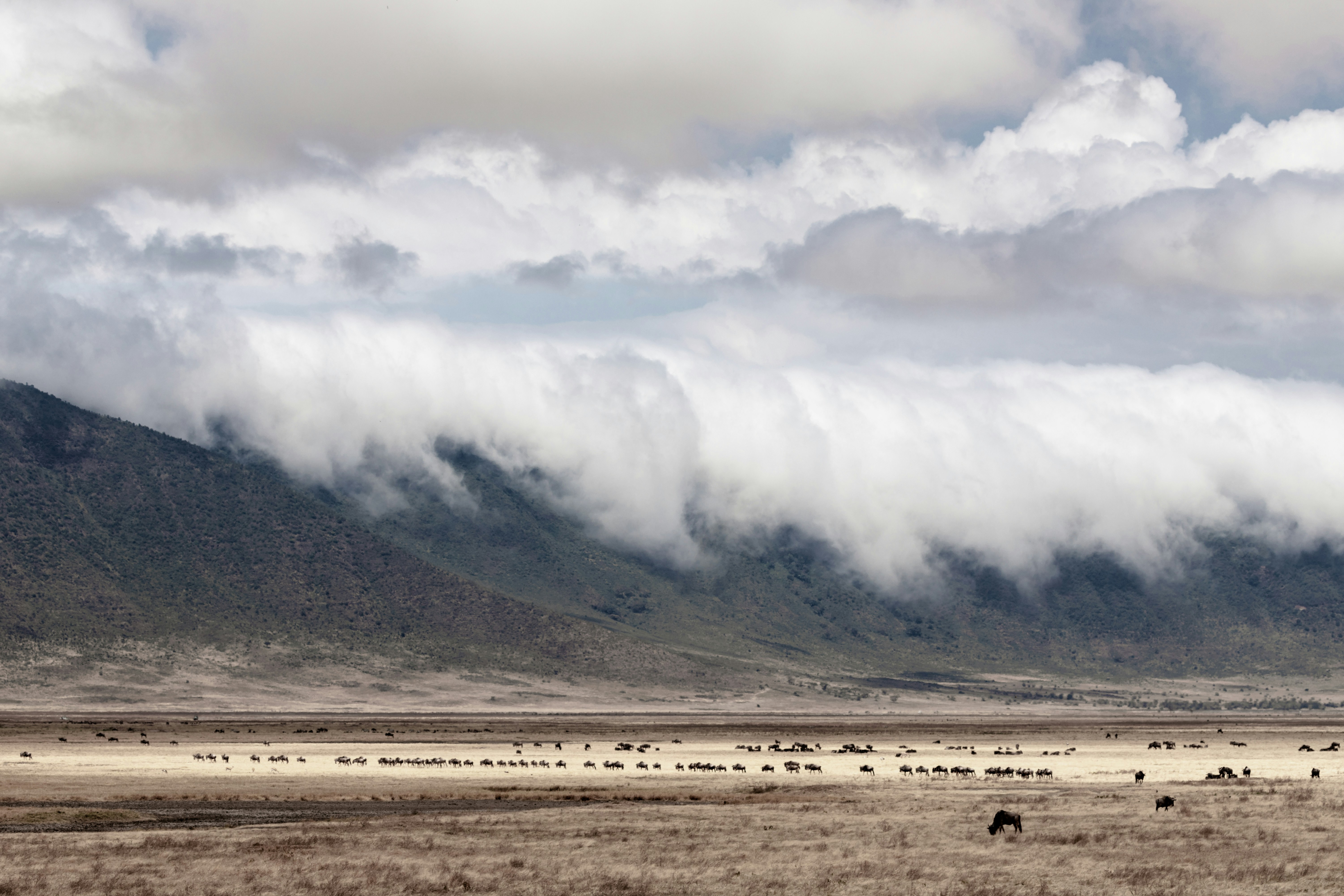 Uno scorcio di Ngorongoro