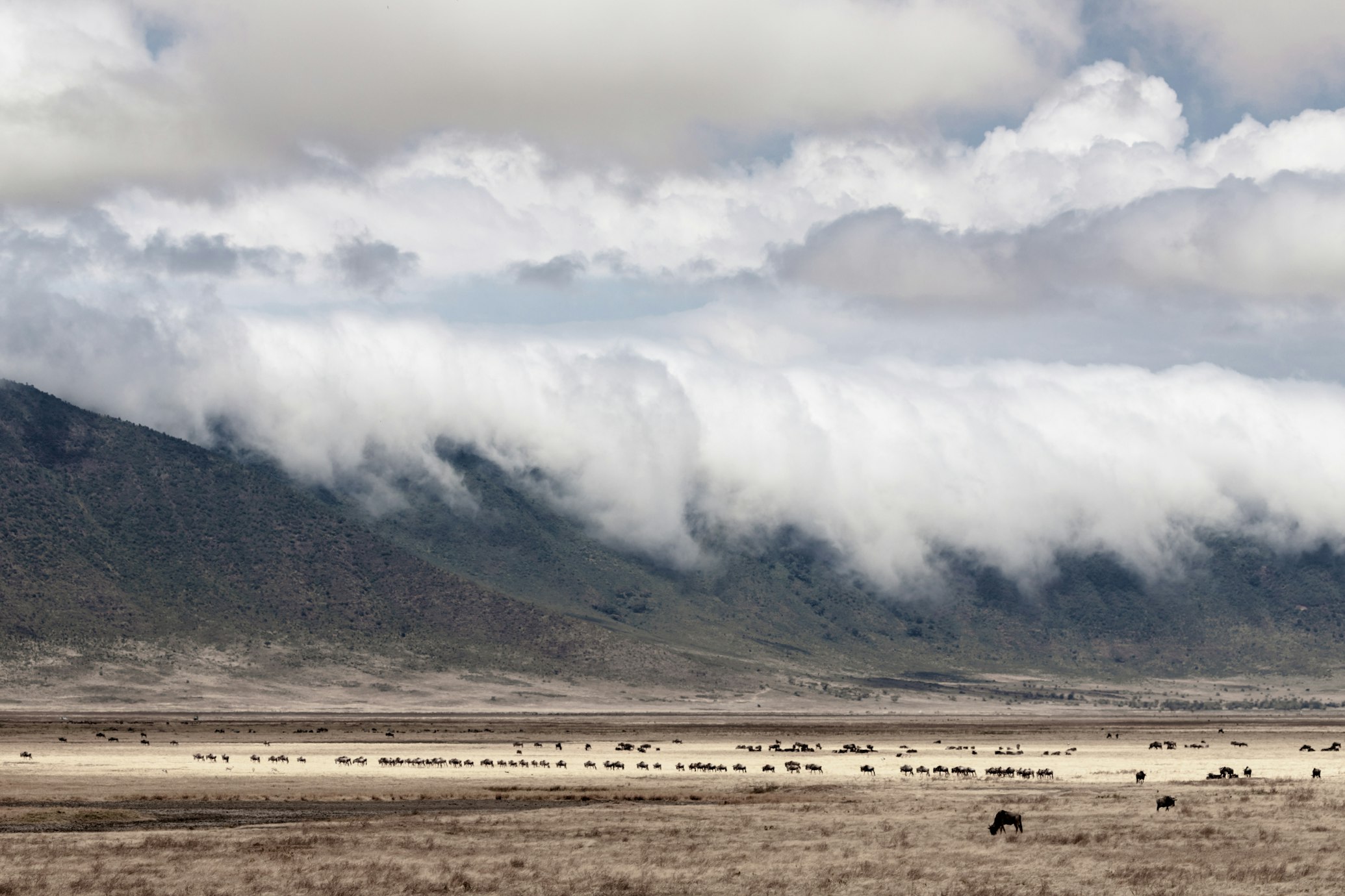 Uno scorcio di Ngorongoro