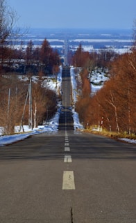 gray concrete road between bare trees during daytime