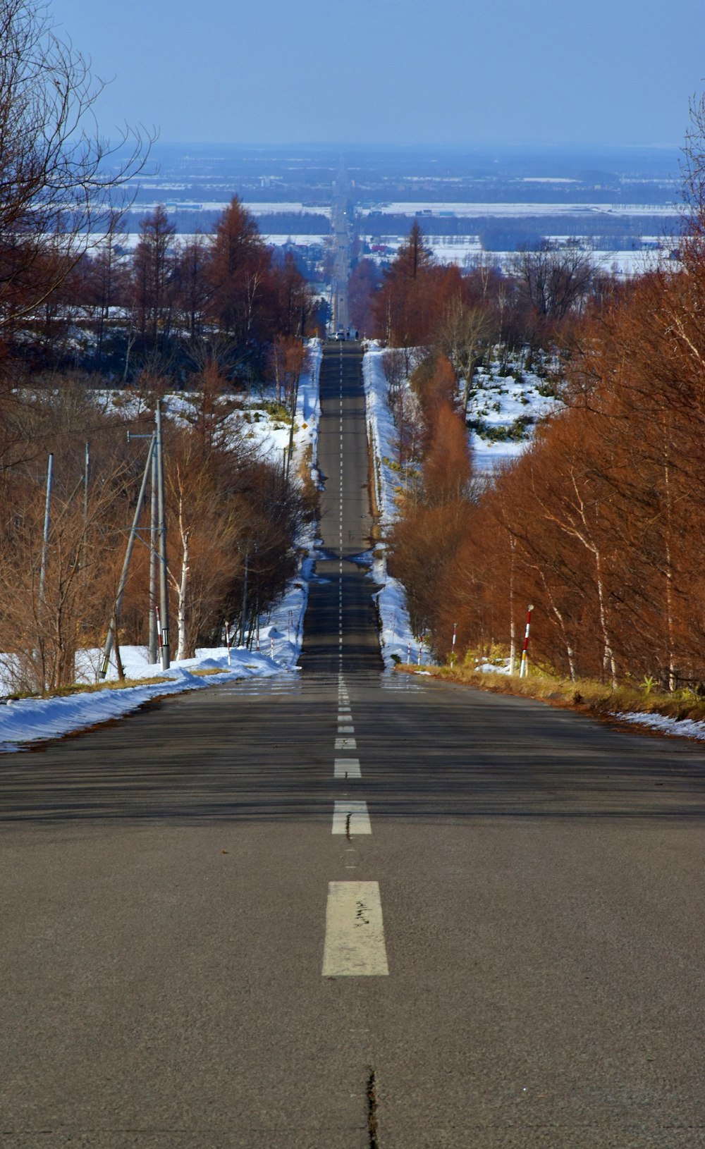 gray concrete road between bare trees during daytime