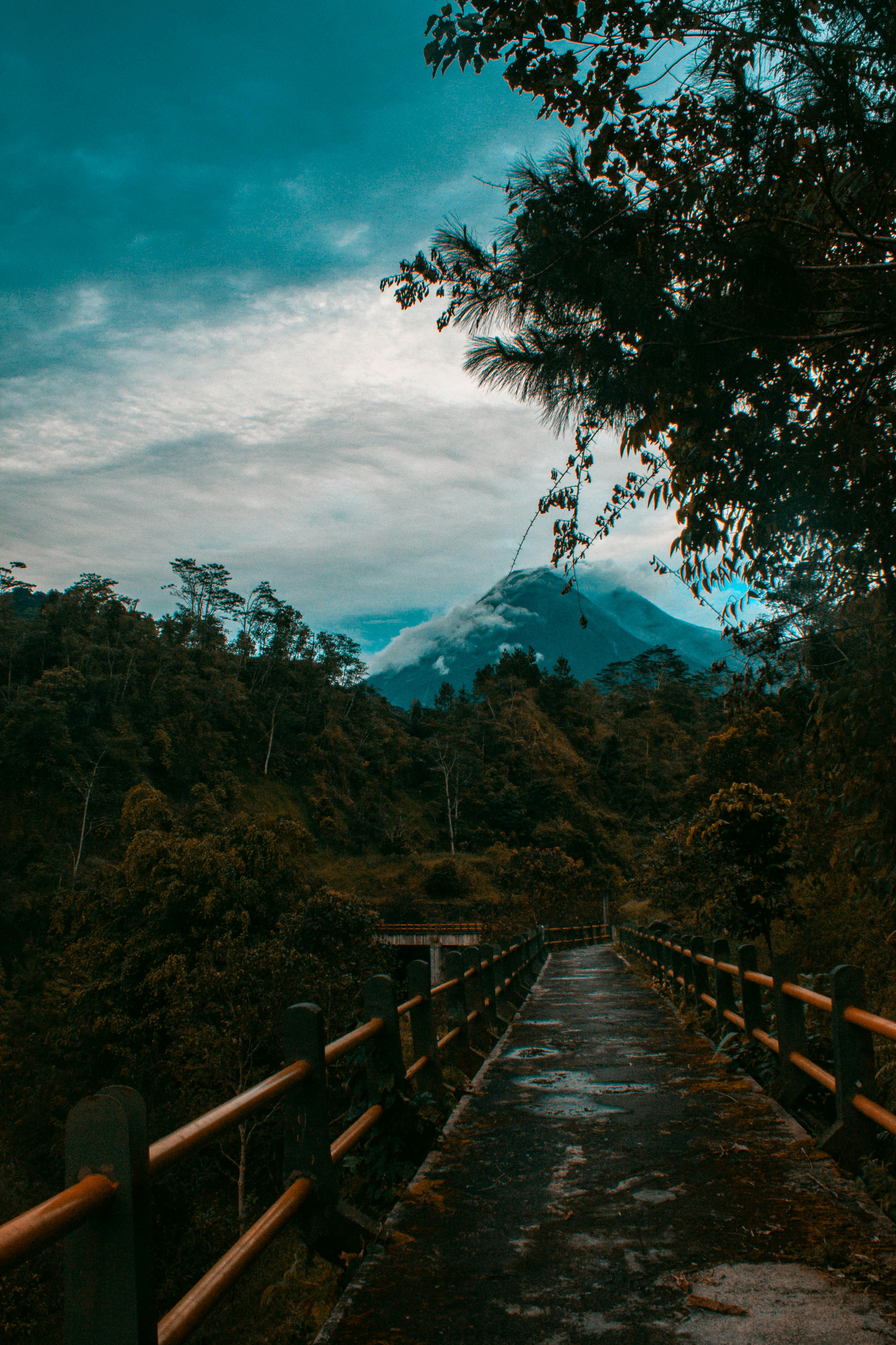 Photo by picimperfect