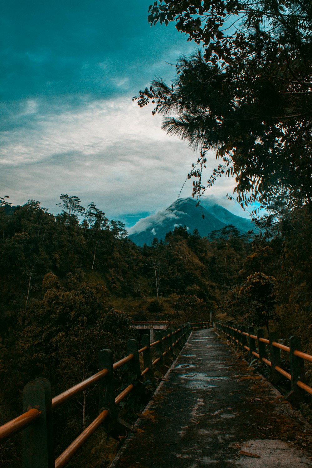 brown wooden bridge over the river