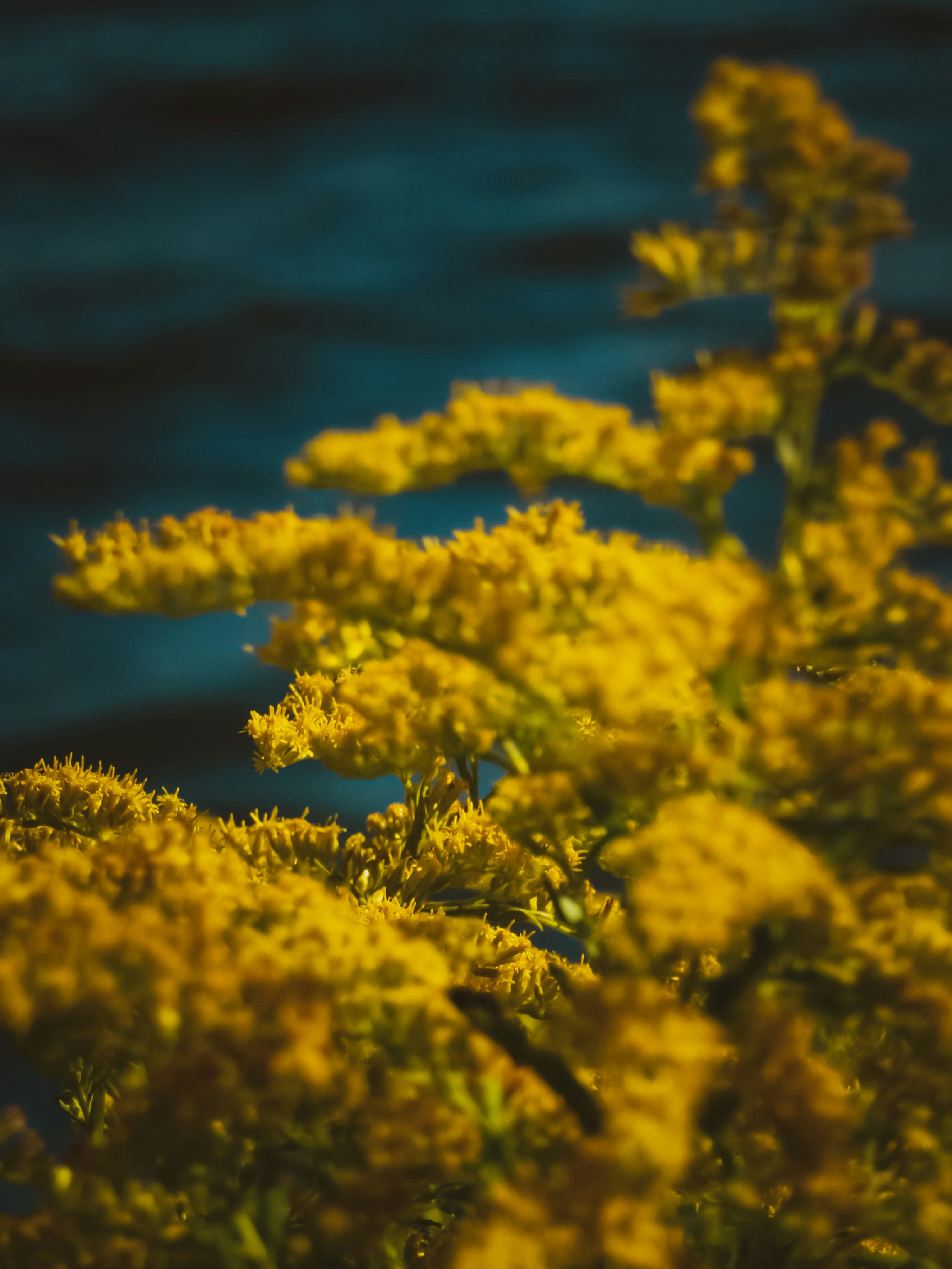 Photo by hlaurphotography