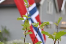 A vibrant red, white, and blue flag is out of focus in the background behind some green leaves in sharp focus. The flag is likely representing Norway. The backdrop includes the muted colors and shapes of out-of-focus houses.