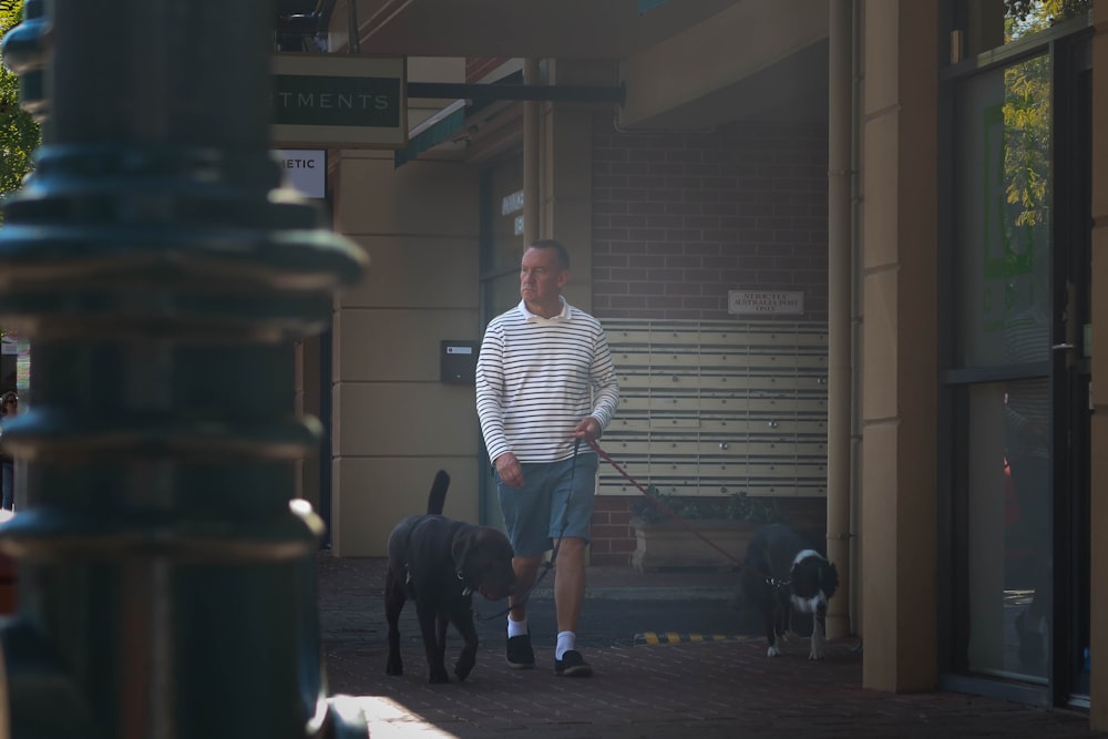 man in white and black stripe shirt and blue denim shorts walking with black labrador retriever