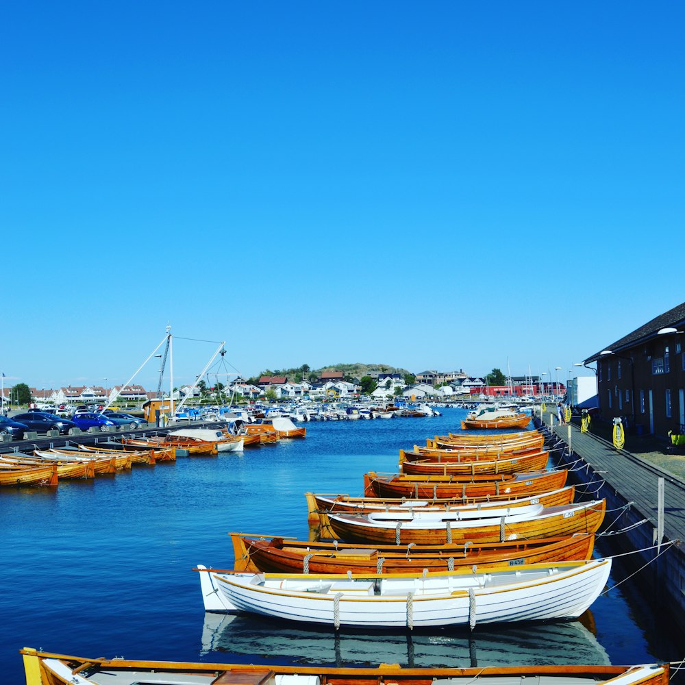 white and brown boat on dock during daytime