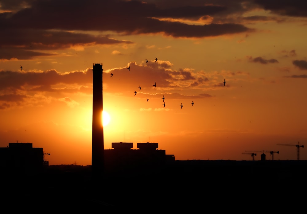 silhouette of building during sunset