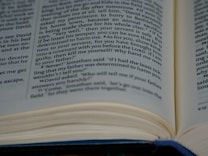 An open book lays on a surface, with visible text printed on the pages. The focus is on a passage with a conversation involving characters discussing matters of loyalty and safety. The text is organized in columns and includes dialogue marked by quotation marks.