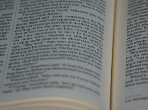 Two open pages of a book with text in focus. The text is in English and the pages have a slight curve, indicating the book is open and laying flat.