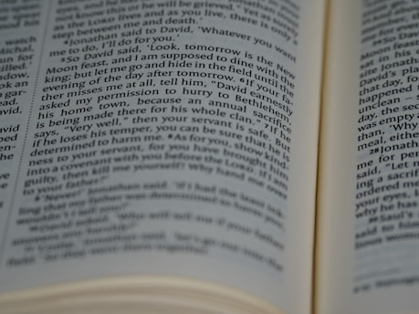 Two open pages of a book with text in focus. The text is in English and the pages have a slight curve, indicating the book is open and laying flat.