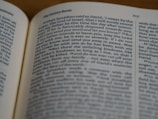 A close-up view of an open book showing text from 'The History Books' section. The text is focused on a specific passage, with the page number 217 visible at the top right corner. The surrounding area is softly blurred, indicating a shallow depth of field.