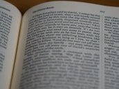 A close-up view of an open book showing text from 'The History Books' section. The text is focused on a specific passage, with the page number 217 visible at the top right corner. The surrounding area is softly blurred, indicating a shallow depth of field.