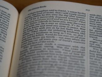 A close-up view of an open book showing text from 'The History Books' section. The text is focused on a specific passage, with the page number 217 visible at the top right corner. The surrounding area is softly blurred, indicating a shallow depth of field.