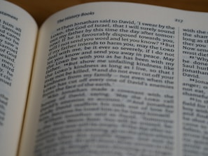 A close-up view of an open book showing text from 'The History Books' section. The text is focused on a specific passage, with the page number 217 visible at the top right corner. The surrounding area is softly blurred, indicating a shallow depth of field.