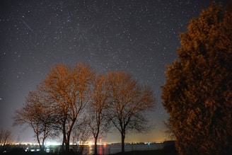 A serene landscape featuring a starry night sky with constellations visible.