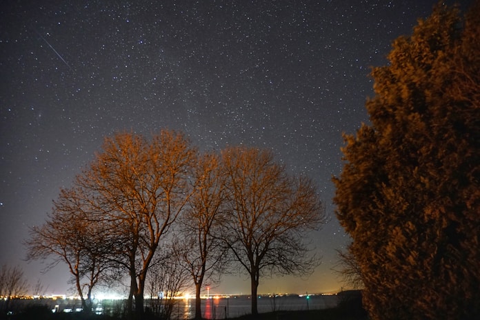 A serene landscape featuring a starry night sky with constellations visible.