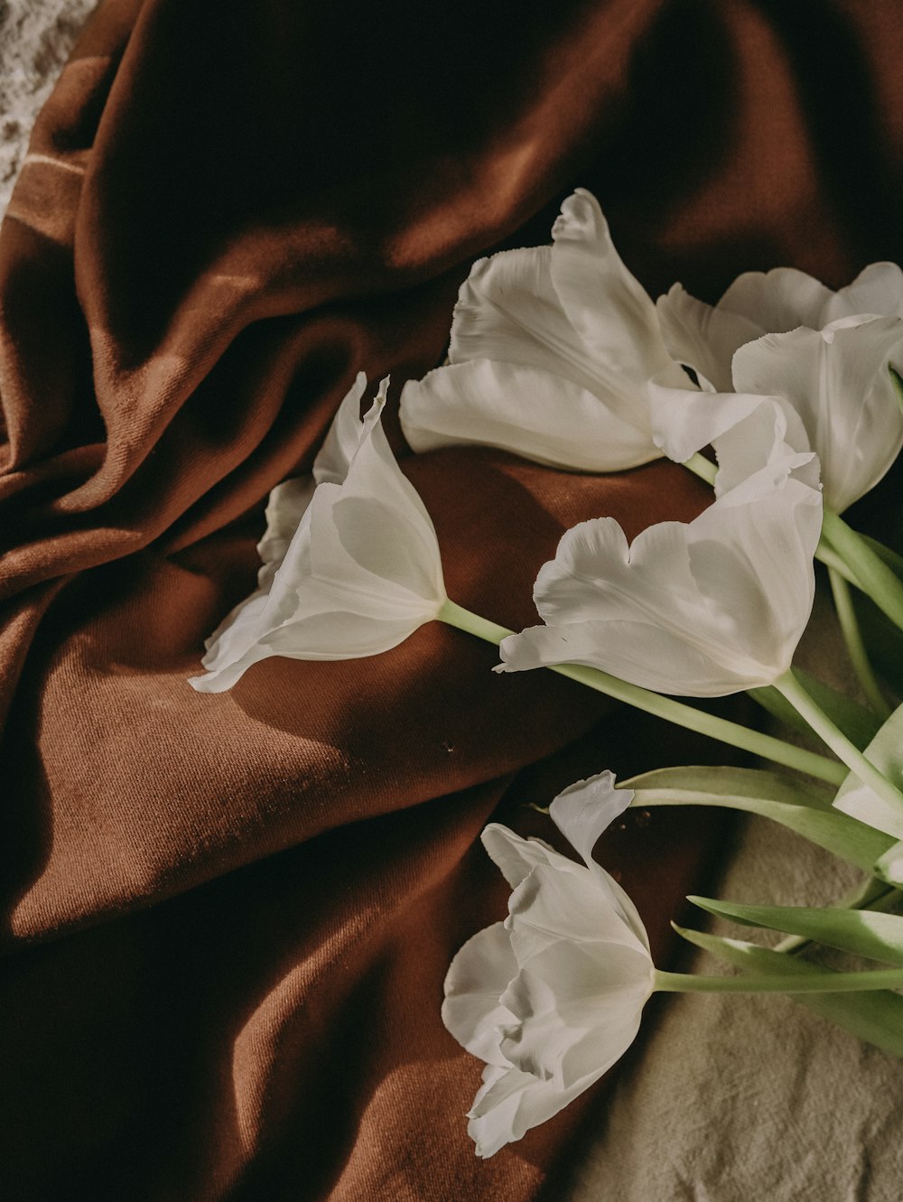 weiße Blüten auf braunem Textil