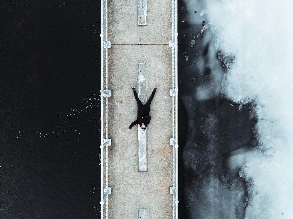 black bird flying over brown wooden door