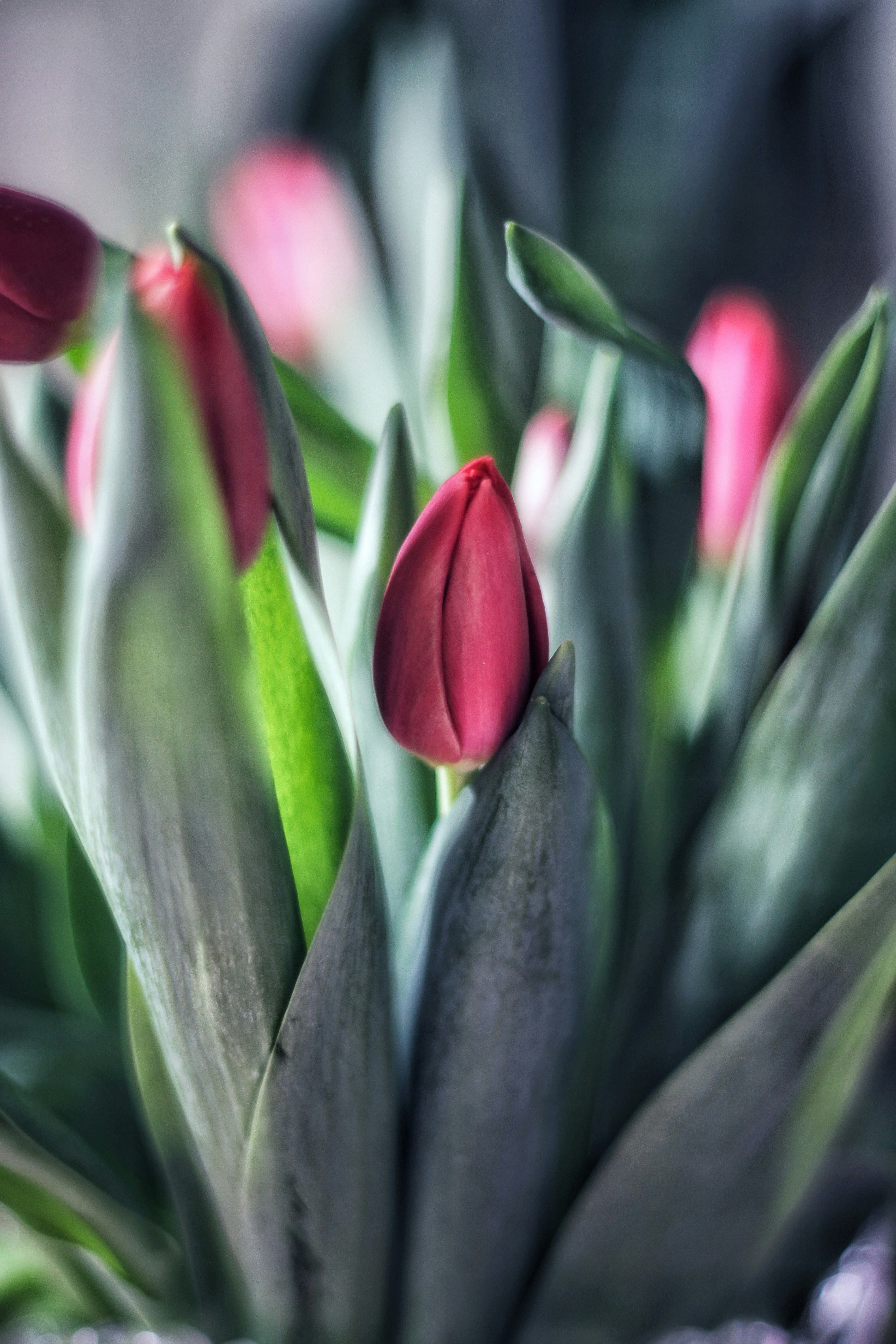 Photo by lilianflower