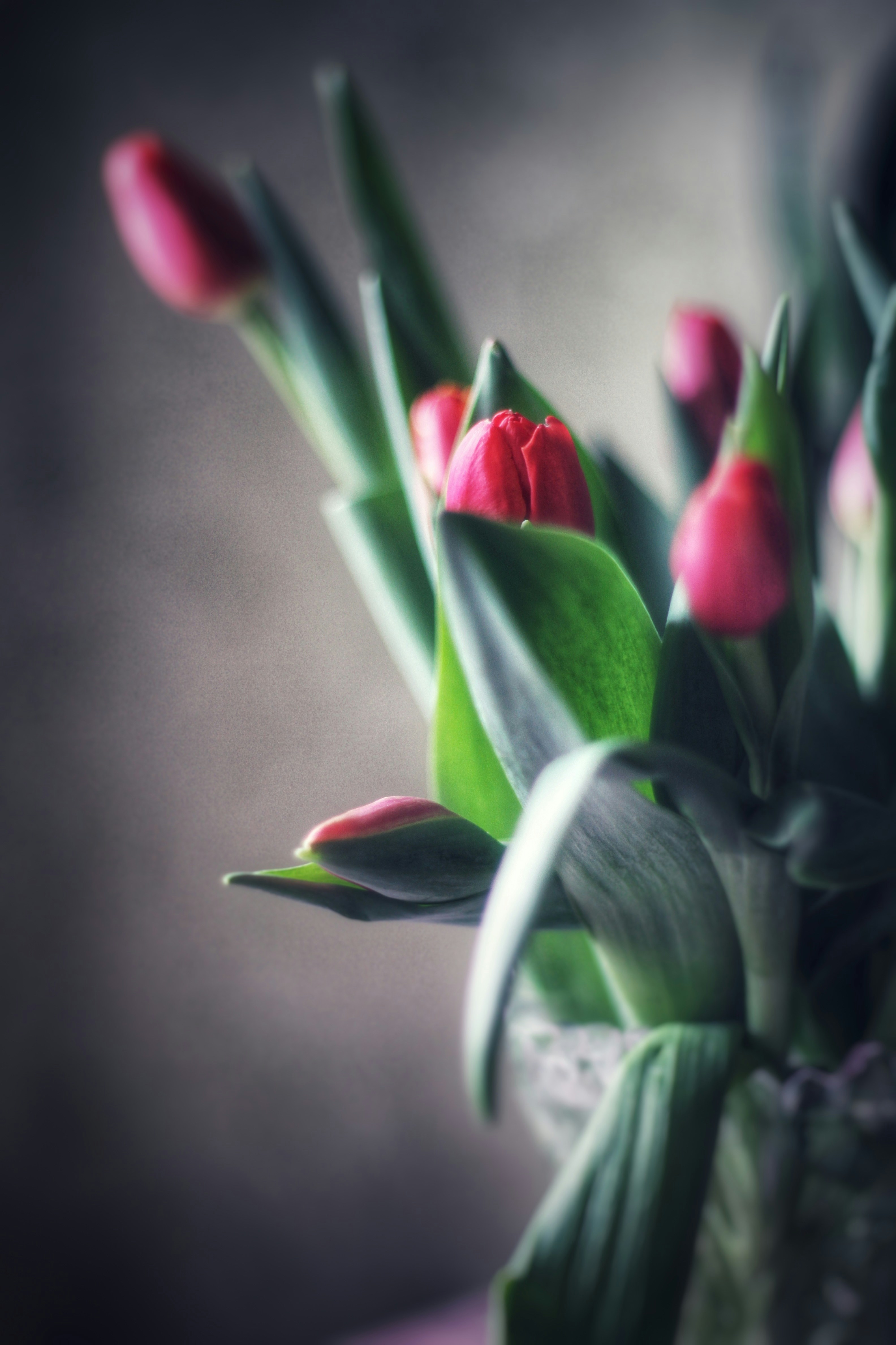 Photo by lilianflower