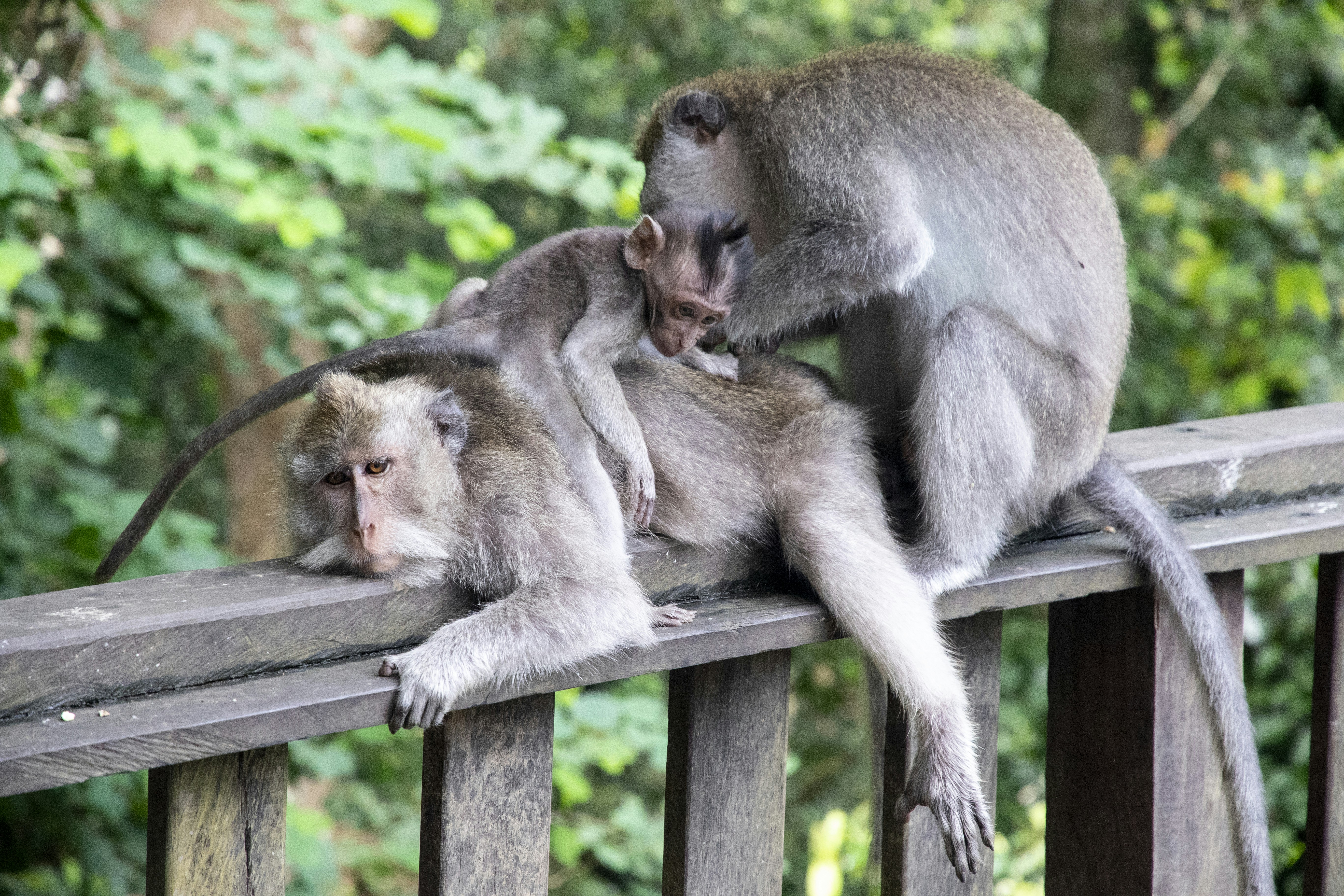 Photo by robincanfield