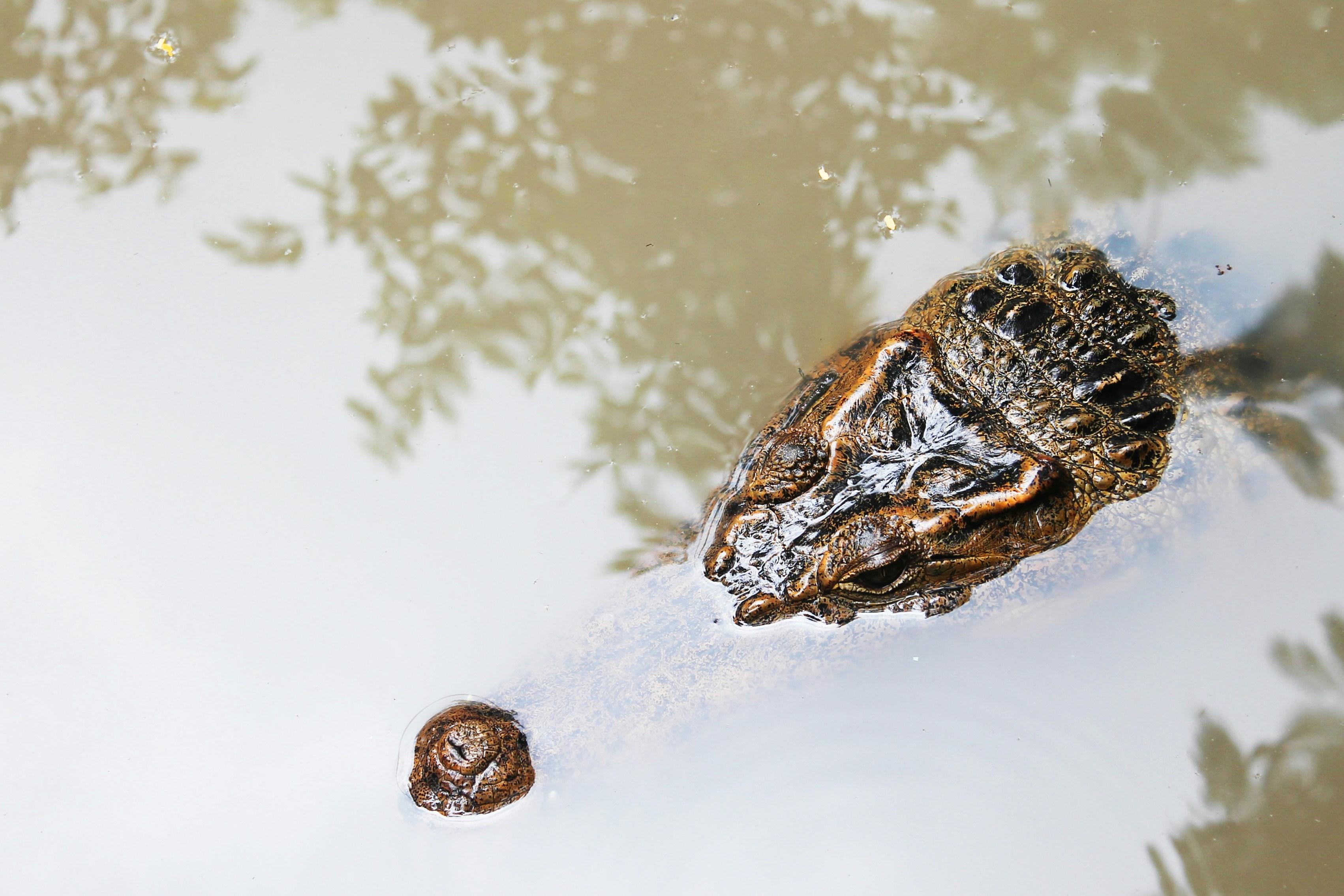 Photo by lakoni_creative