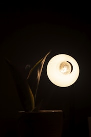 A bright, illuminated light bulb appears against a dark background, casting light onto the leaves of a nearby potted plant. The warm glow of the bulb creates a stark contrast with the surrounding darkness.