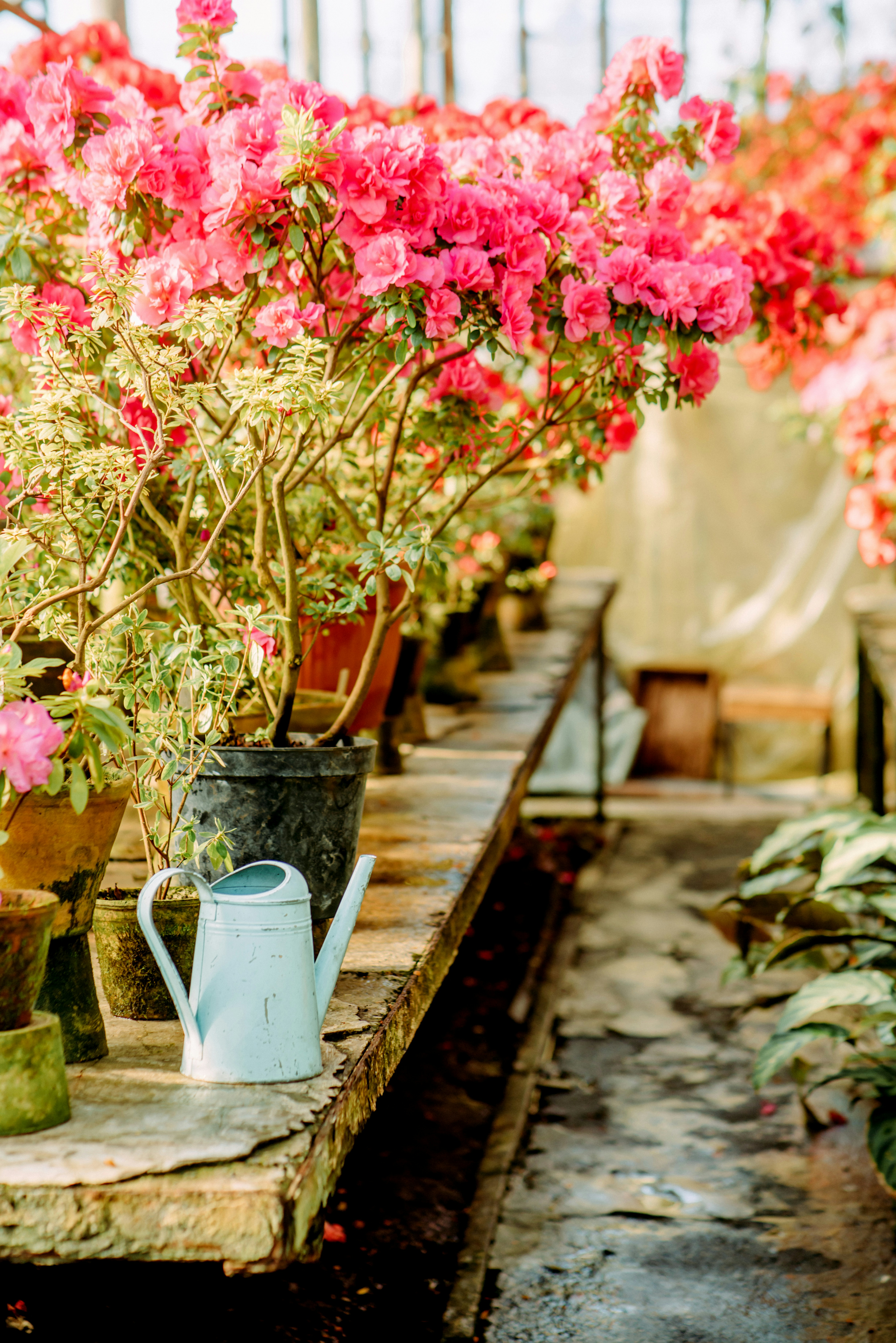 Photo by eugenivy_now