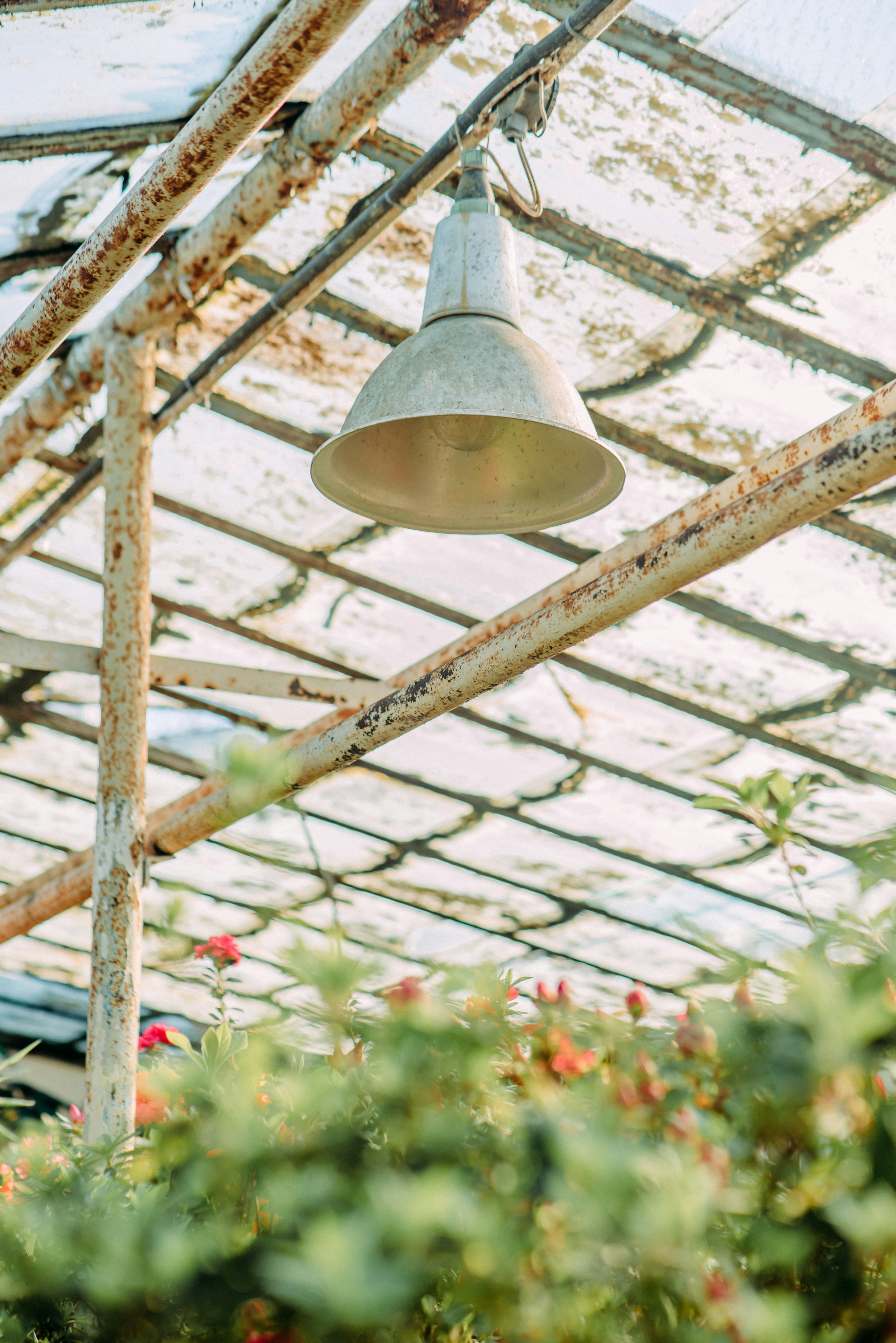 Photo by eugenivy_now